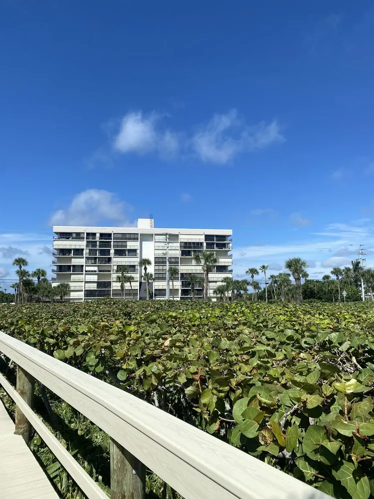 After: level sea grape hedge along a boardwalk