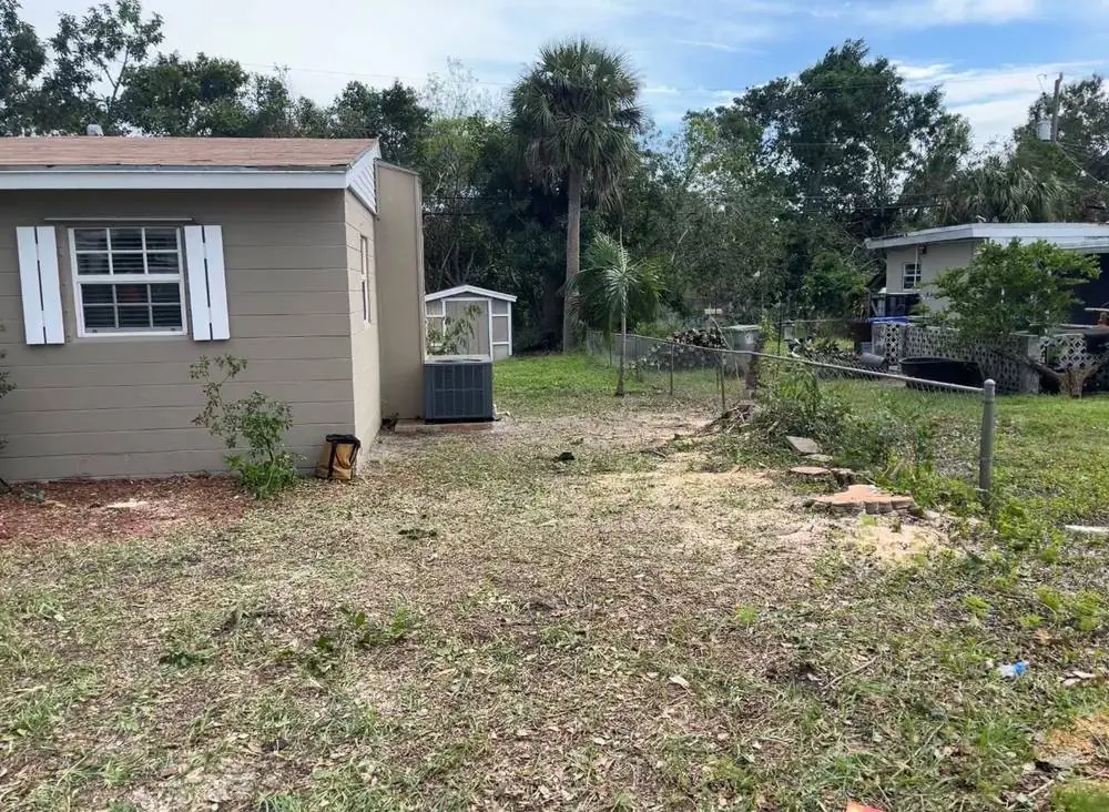 After: trees removed with stumps and chips in a cleared side yard