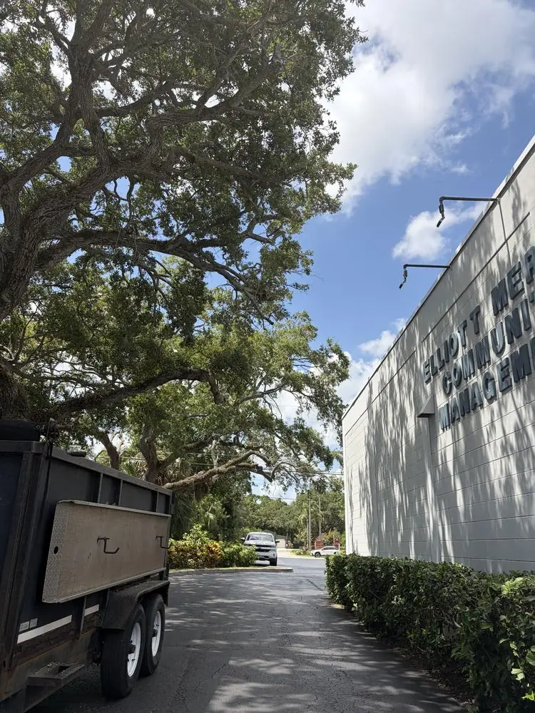 After: commercial oak work completed along the building and drive