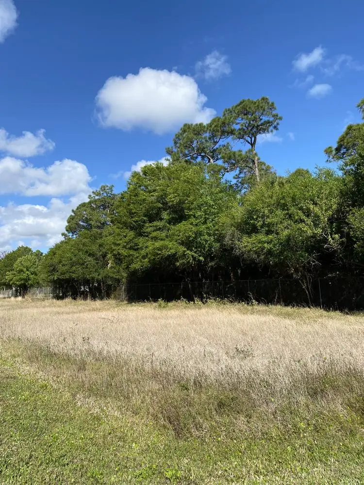 Before: overgrown field and tree line along a fence
