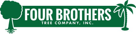 Fourt Brothers Tree Trimming
