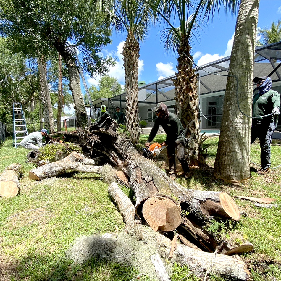 4-Brothers-Tree-Services-AboutUs