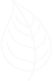 Leaf2