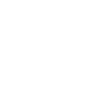 Arborist trimming a tall palm tree with professional equipment